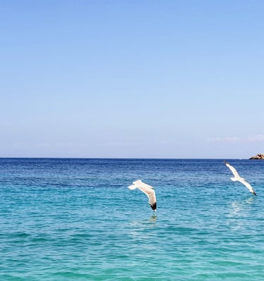 Blick vom Strand Le Ghiaie auf der Insel Elba