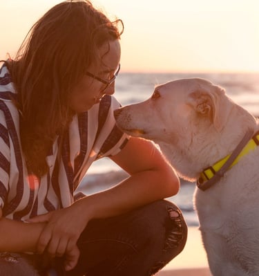 ragazza e cane bianco che si guardano negli occhi al tramonto sul mare