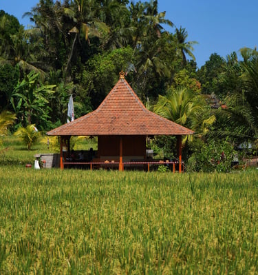 Bali farming