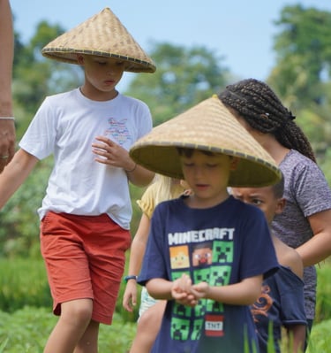 Bali farming