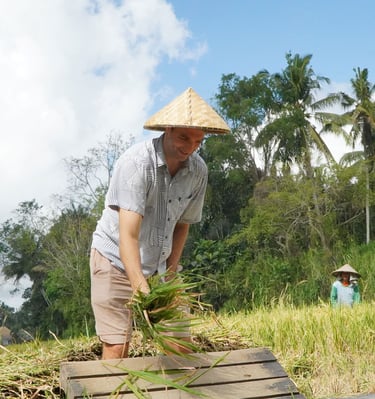 Rice Farming Bali