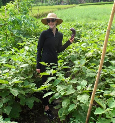 Bali farming