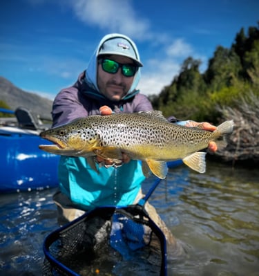 trucha marron rio azul