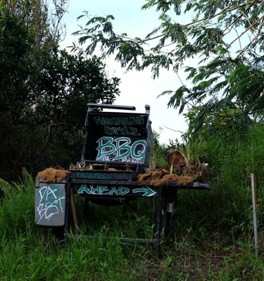 Barbecue le long de la route de Hana à Maui