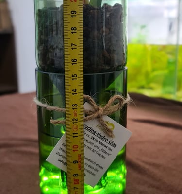 Upcycling-Hydropflanzengläser