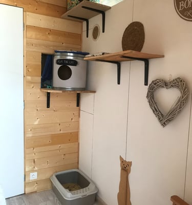 Chambre à la pension Un Rêve de Chat
