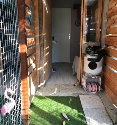 Chambre avec jardin à la pension Un Rêve de Chat