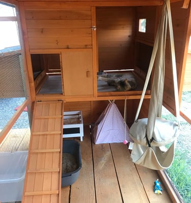 Chambre aménagée à la pension Un Rêve de Chat