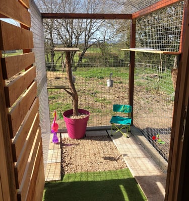 Jardin attenant à une chambre à la pension Un Rêve de Chat