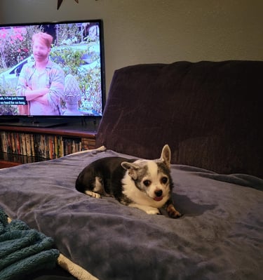 This is Neener. Doesnt care about anything--- except food.