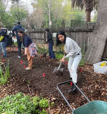 Women filling a rain garden with soil