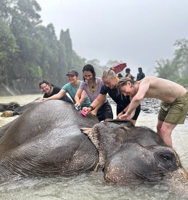 Bukit Lawang Trekking
