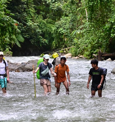 Bukit Lawang Trekking