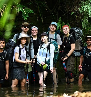 Bukit Lawang Trekking