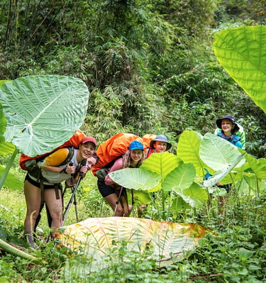 Smiling group of hikers with backpacks trekking through a tropical jungle behind giant green taro leaves.