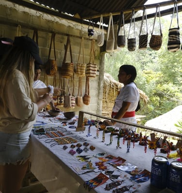 fundación indigena wiwa 