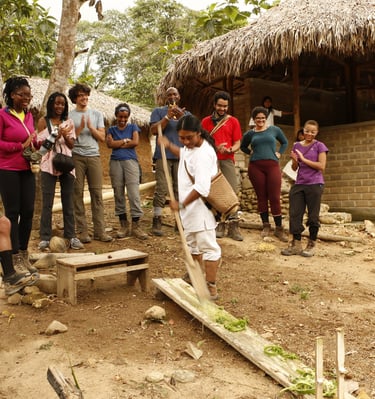 Fundación prosierra 