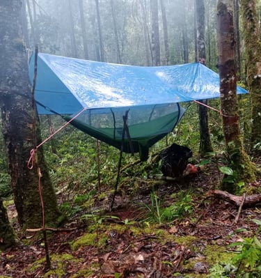 Hammock hanged in between two trees and a tarpaulin spread on top as a roof