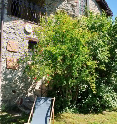 garden Italy Piedmont Gaiola holiday home