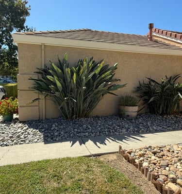Modern drought-tolerant front yard landscaping with river rock mulch and large bird of paradise plants.