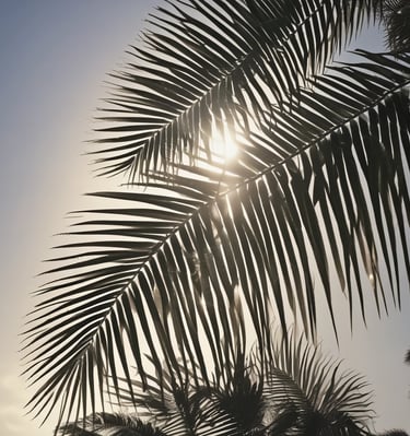 Cozy, colorful rooms with bright tropical decor and comfortable beds.