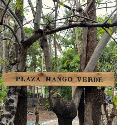 plaza mango verde sign 