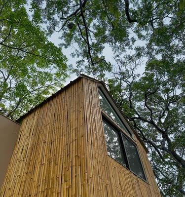 tiny house made out of bamboo surrounded by trees