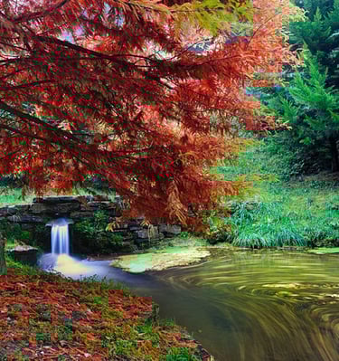 Orto Botanico delle Conifere di Ome