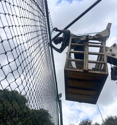 Technicians carefully installing a safety net along a high-rise building facade in Chennai