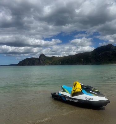 Jetski rental on a guided tour