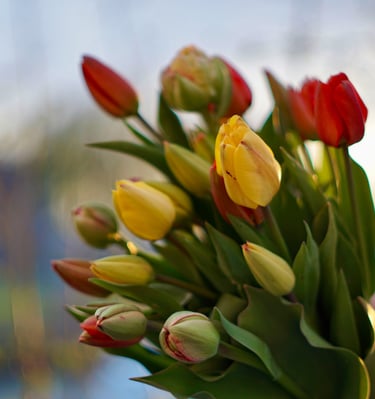 bouquet-fleurs-habay-la-vieilles-fleuriste