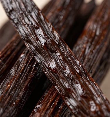 Artisan chef inspecting vanilla beans in a bright, modern kitchen filled with natural light.