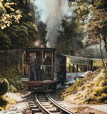 Darjeeling Holidays by Soma Journeys