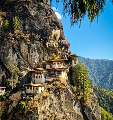 Delight of Bhutan Holidays by Soma Journeys