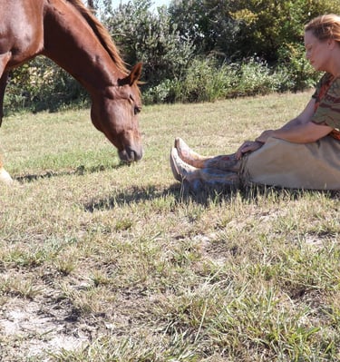 animal communication spiritual direction equestrian