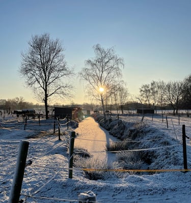 A frost-covered farm landscape at sunrise with a frozen stream, bare trees, and horse paddocks.