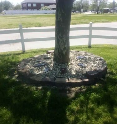 Tree trunk surrounded by a circular stone border and white landscape gravel in a grassy yard.