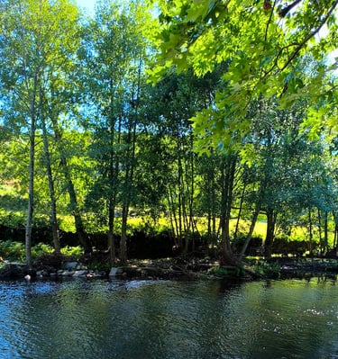 Rio Alva - Tour Oliveira do Hospital - Raiz Tours