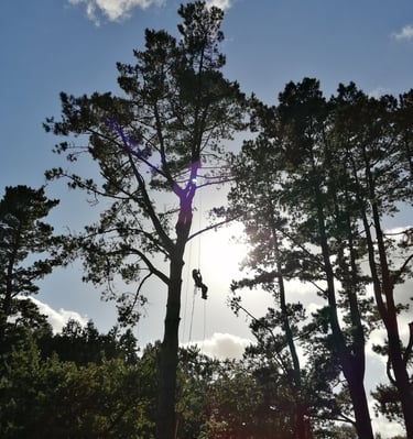 photo prise en CS formation