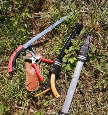 Scie Japonaise #Silky et sécateur #Felco