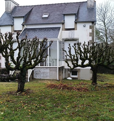 palmette vieux pommiers