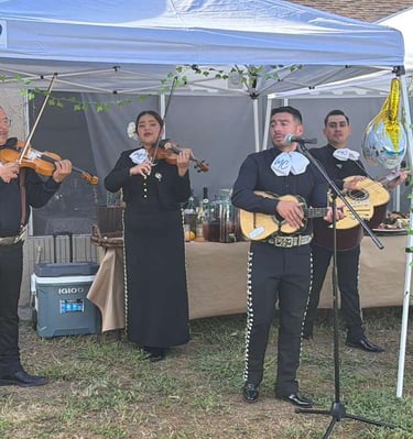 A traditional mariachi band in black charro suits performing with violins and guitars under a white canopy.