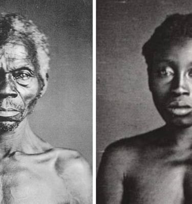 Harvard cede fotos de dois escravizados a museu de história negra após longa batalha judicial com de