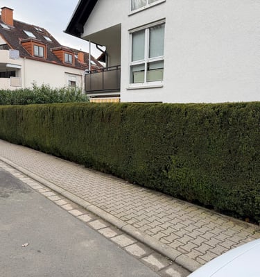 Gartenpflege Oberursel