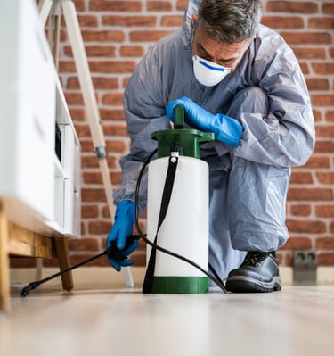 professional termite control service