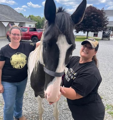 The owners standing outdoors next to a black and white spotted horse with a braided mane.