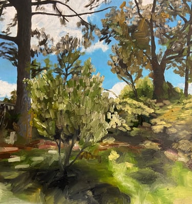 Winter Sun Fin Blood