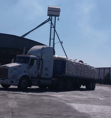 trailer cargado de maiz blanco 
