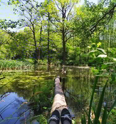A person's feet on a log in the woods
