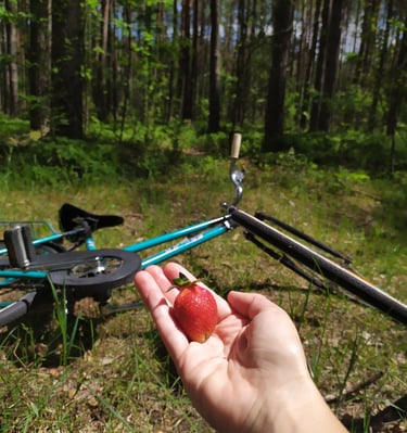 A person holding a strawberry on a bike